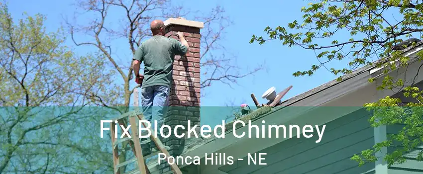 Fix Blocked Chimney Ponca Hills - NE