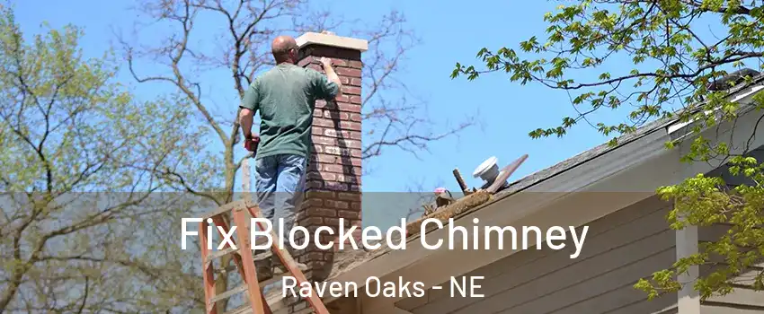 Fix Blocked Chimney Raven Oaks - NE