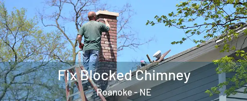 Fix Blocked Chimney Roanoke - NE