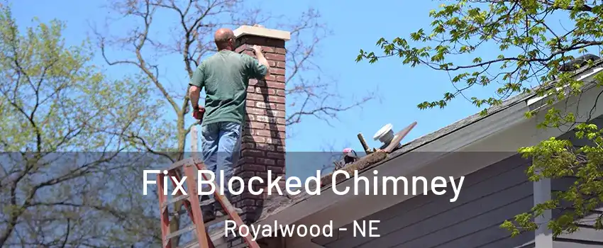 Fix Blocked Chimney Royalwood - NE