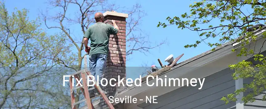 Fix Blocked Chimney Seville - NE