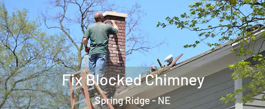 Fix Blocked Chimney Spring Ridge - NE