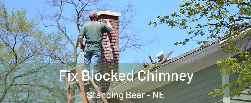Fix Blocked Chimney Standing Bear - NE