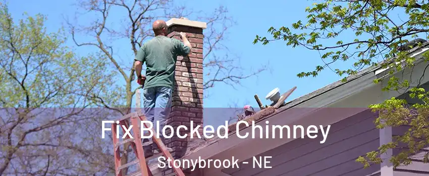 Fix Blocked Chimney Stonybrook - NE