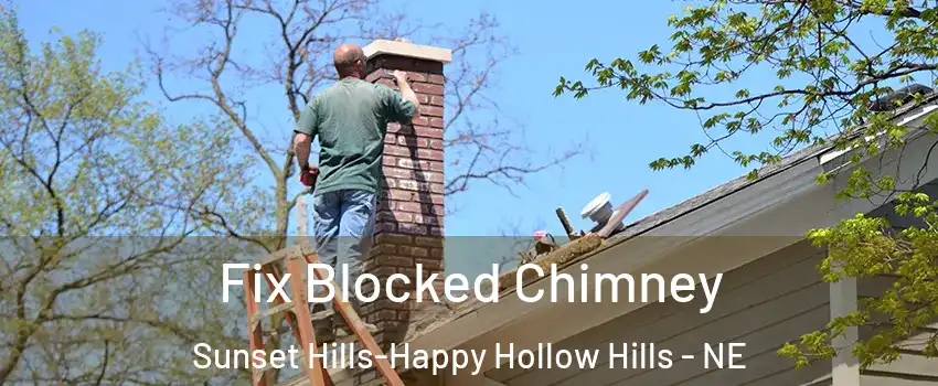 Fix Blocked Chimney Sunset Hills-Happy Hollow Hills - NE