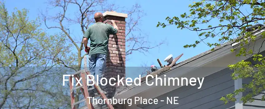 Fix Blocked Chimney Thornburg Place - NE