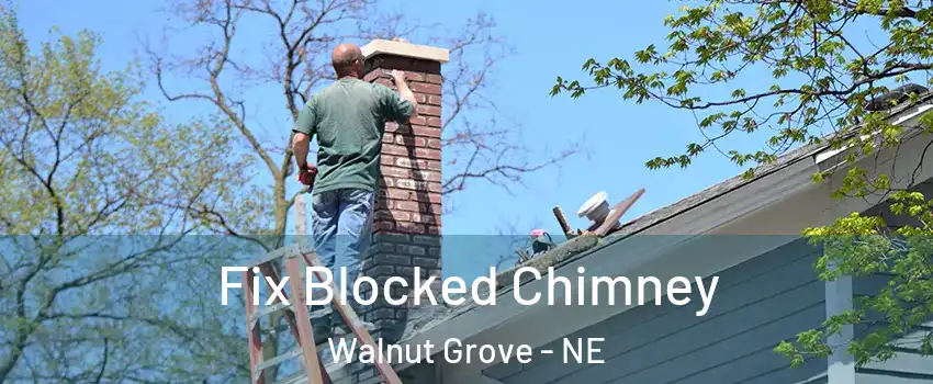 Fix Blocked Chimney Walnut Grove - NE