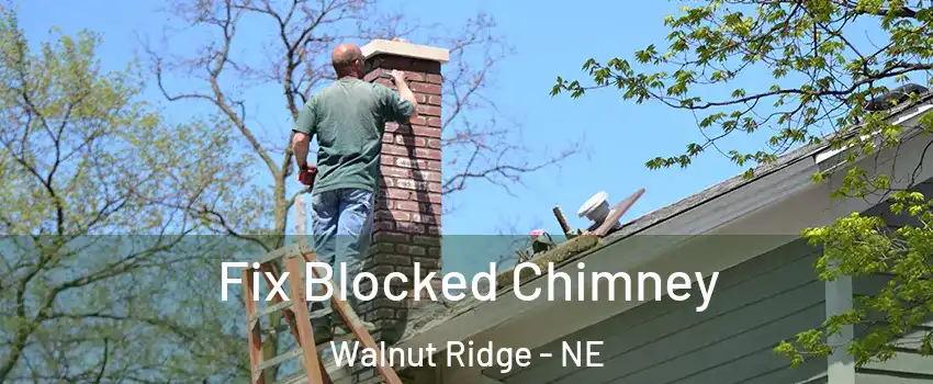 Fix Blocked Chimney Walnut Ridge - NE