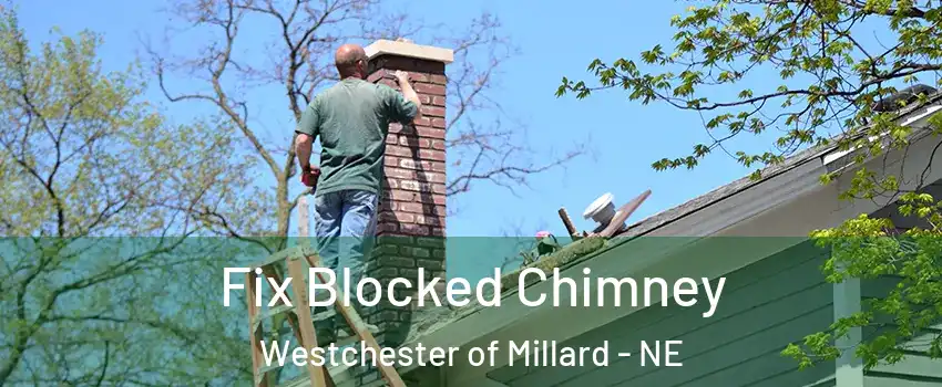 Fix Blocked Chimney Westchester of Millard - NE