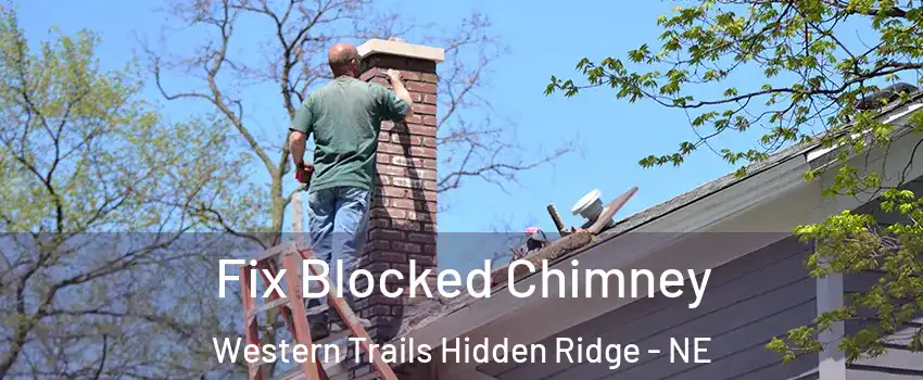 Fix Blocked Chimney Western Trails Hidden Ridge - NE