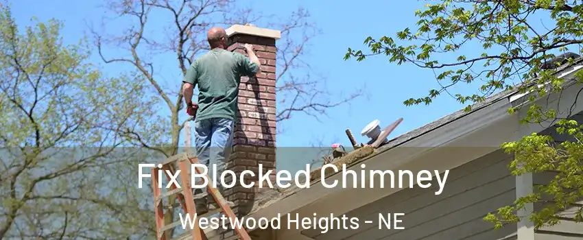 Fix Blocked Chimney Westwood Heights - NE