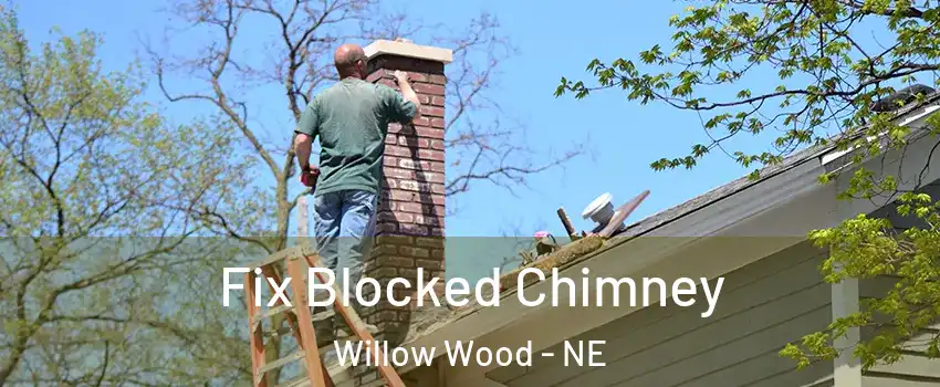 Fix Blocked Chimney Willow Wood - NE