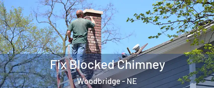 Fix Blocked Chimney Woodbridge - NE