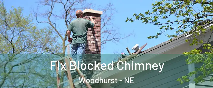 Fix Blocked Chimney Woodhurst - NE
