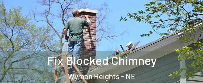 Fix Blocked Chimney Wyman Heights - NE