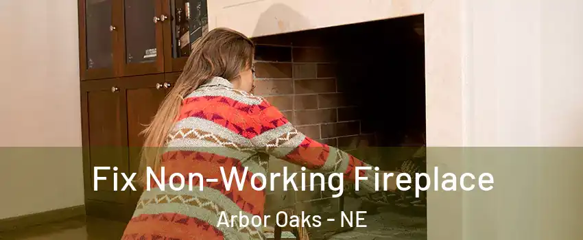 Fix Non-Working Fireplace Arbor Oaks - NE