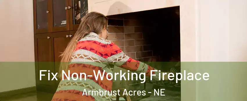 Fix Non-Working Fireplace Armbrust Acres - NE