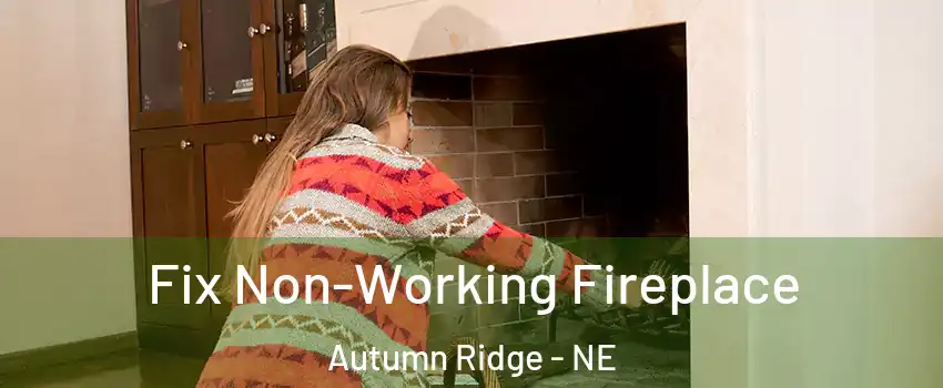 Fix Non-Working Fireplace Autumn Ridge - NE