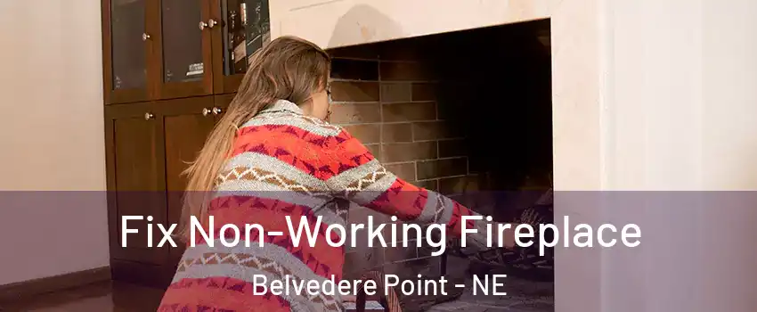 Fix Non-Working Fireplace Belvedere Point - NE