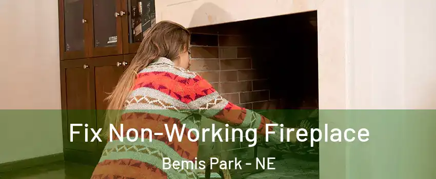 Fix Non-Working Fireplace Bemis Park - NE