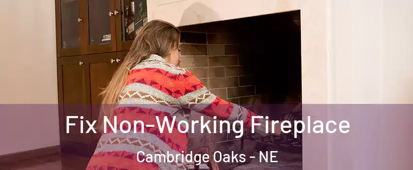 Fix Non-Working Fireplace Cambridge Oaks - NE