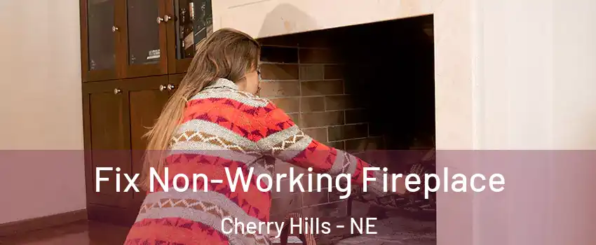 Fix Non-Working Fireplace Cherry Hills - NE