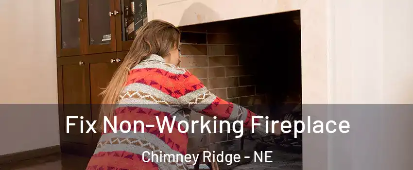 Fix Non-Working Fireplace Chimney Ridge - NE