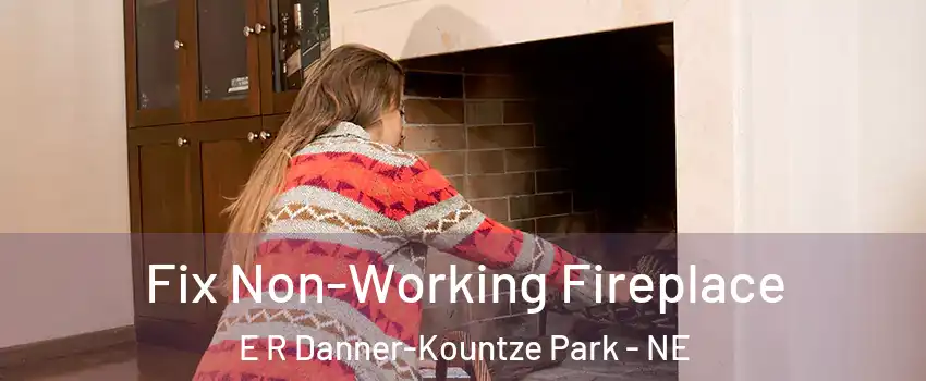 Fix Non-Working Fireplace E R Danner-Kountze Park - NE