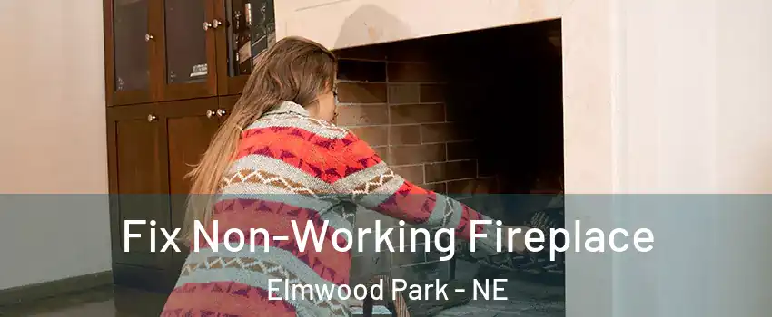 Fix Non-Working Fireplace Elmwood Park - NE