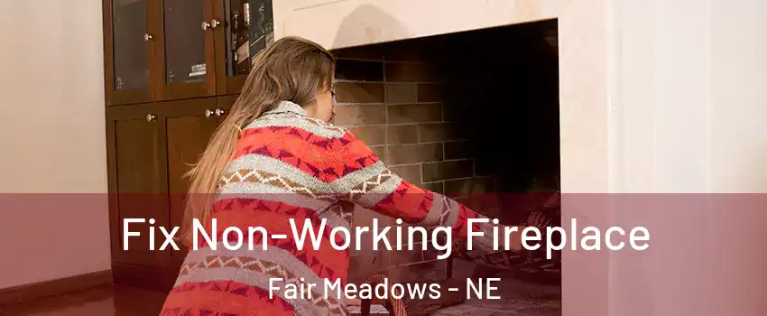 Fix Non-Working Fireplace Fair Meadows - NE