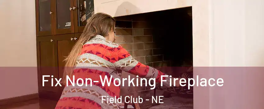 Fix Non-Working Fireplace Field Club - NE