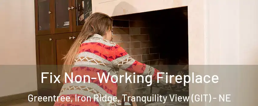 Fix Non-Working Fireplace Greentree, Iron Ridge, Tranquility View (GIT) - NE