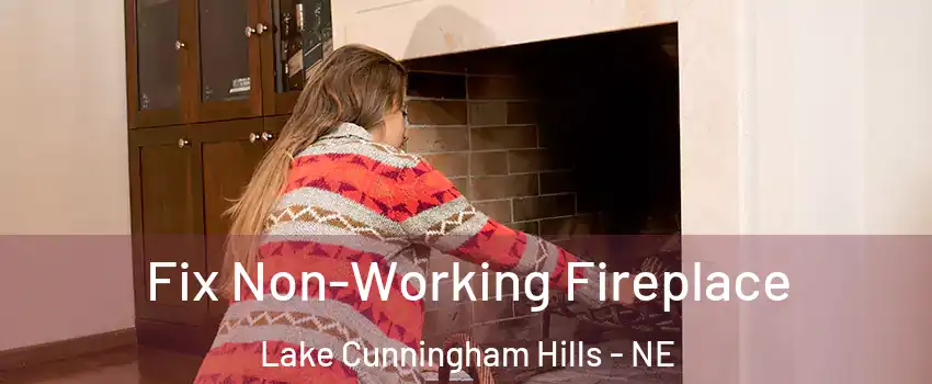 Fix Non-Working Fireplace Lake Cunningham Hills - NE