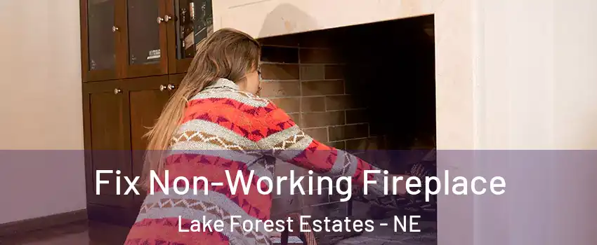 Fix Non-Working Fireplace Lake Forest Estates - NE