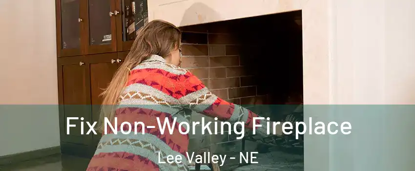 Fix Non-Working Fireplace Lee Valley - NE