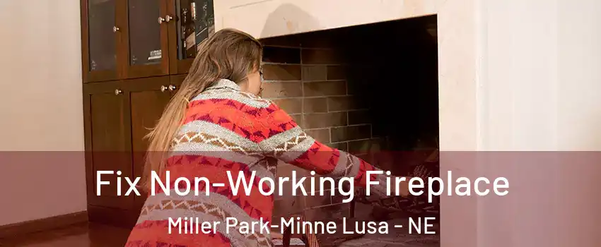 Fix Non-Working Fireplace Miller Park-Minne Lusa - NE