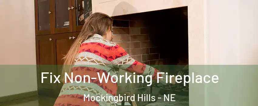 Fix Non-Working Fireplace Mockingbird Hills - NE