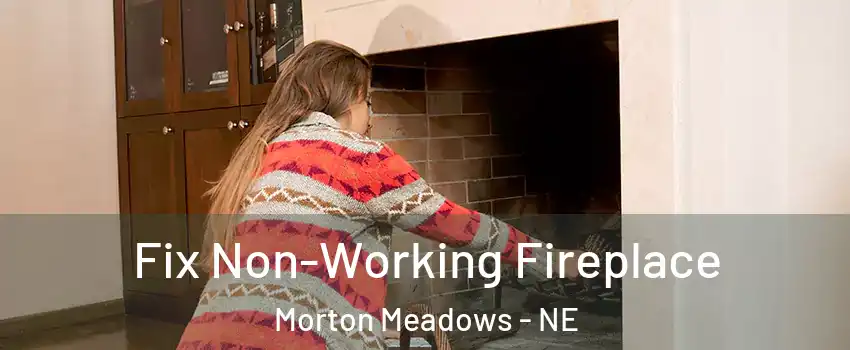 Fix Non-Working Fireplace Morton Meadows - NE