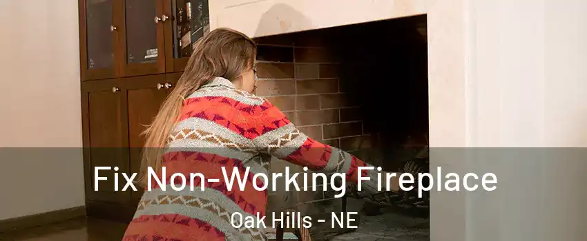 Fix Non-Working Fireplace Oak Hills - NE