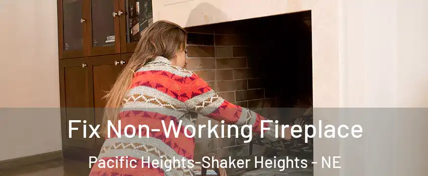 Fix Non-Working Fireplace Pacific Heights-Shaker Heights - NE