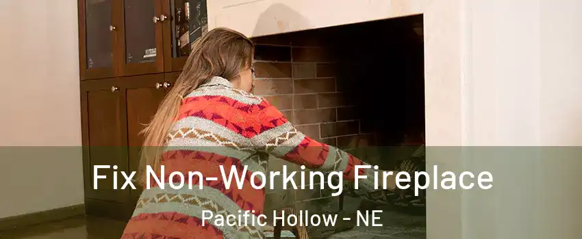 Fix Non-Working Fireplace Pacific Hollow - NE