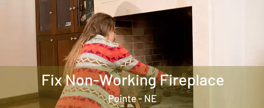 Fix Non-Working Fireplace Pointe - NE