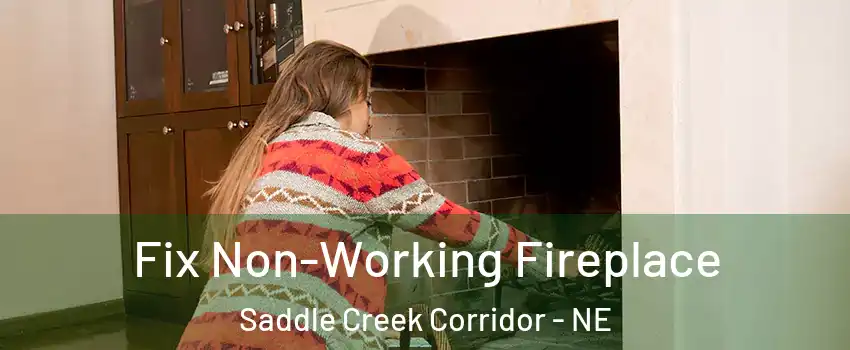 Fix Non-Working Fireplace Saddle Creek Corridor - NE