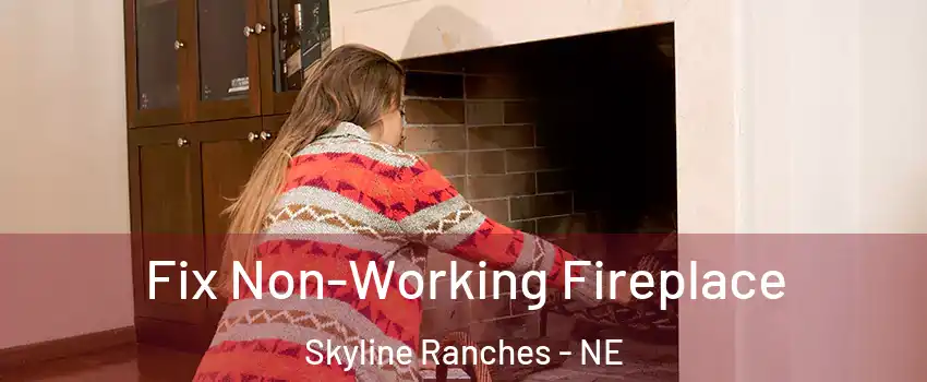 Fix Non-Working Fireplace Skyline Ranches - NE