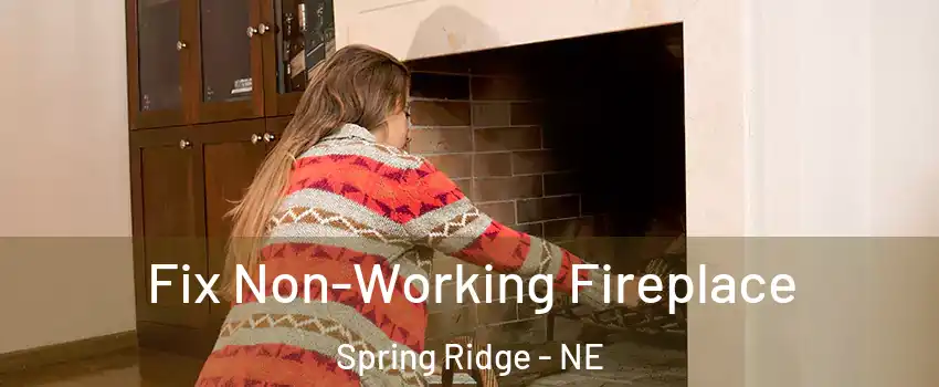 Fix Non-Working Fireplace Spring Ridge - NE