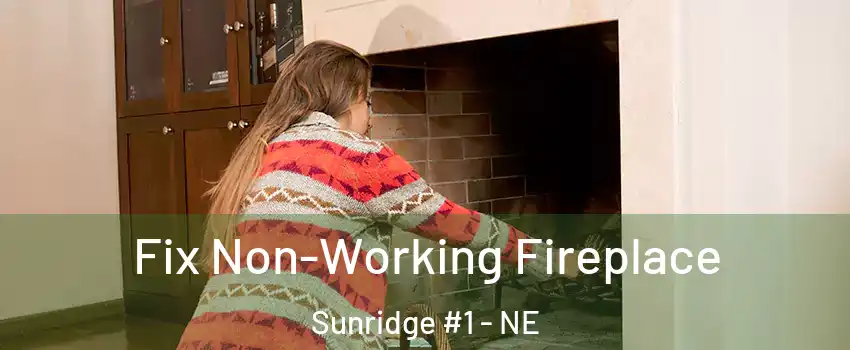 Fix Non-Working Fireplace Sunridge #1 - NE