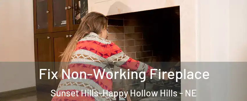 Fix Non-Working Fireplace Sunset Hills-Happy Hollow Hills - NE