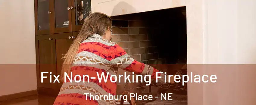 Fix Non-Working Fireplace Thornburg Place - NE