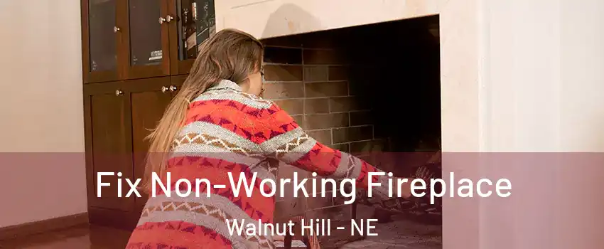 Fix Non-Working Fireplace Walnut Hill - NE
