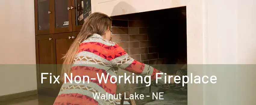 Fix Non-Working Fireplace Walnut Lake - NE